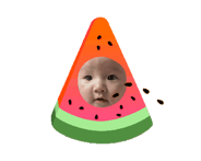 846330689