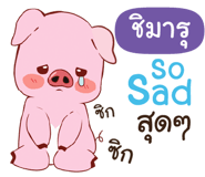 846330810