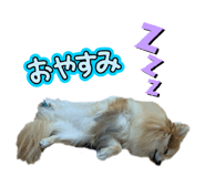 846332419