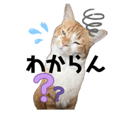 846333275
