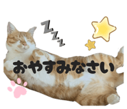 846333276
