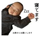 846333295