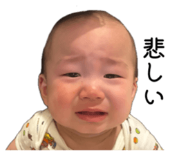 846333300