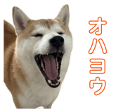 846340673