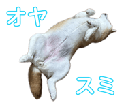 846340674