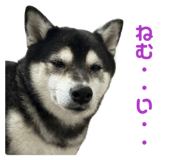 846340676