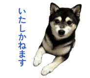 846340680