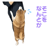 846340681