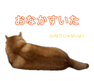 846340685