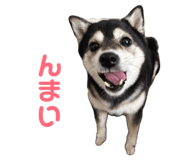 846340686