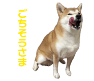 846340687