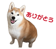 846340689