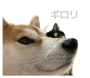 846340691