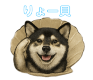 846340694