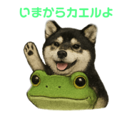 846340695