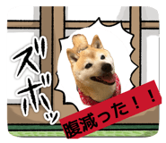 846342274