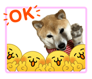 846342278