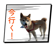 846342284