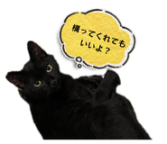 846342366