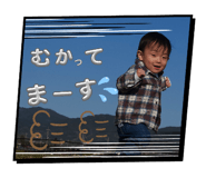 846342427