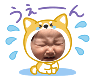 846342594