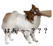 846342738