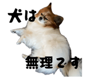846342750