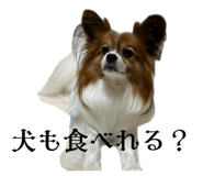 846342754