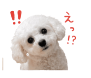 846342840