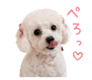 846342842