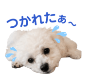 846342843
