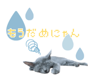 846343019
