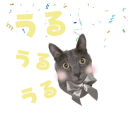 846343020