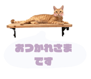 846343021