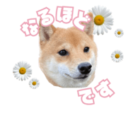 846343024