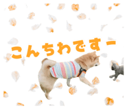 846343027
