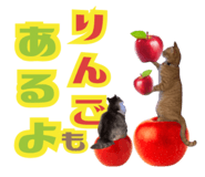 846343031