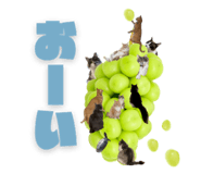 846343034