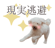 846343039