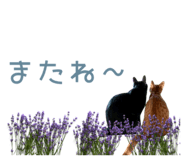 846343040