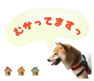 846343047