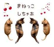 846343056