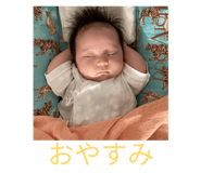 846343381
