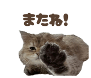 846364767