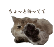 846364782