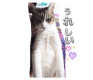 846365081