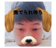846365848