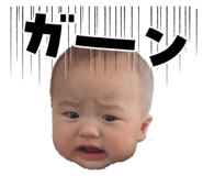 846366011