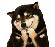 846372386