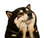 846372387